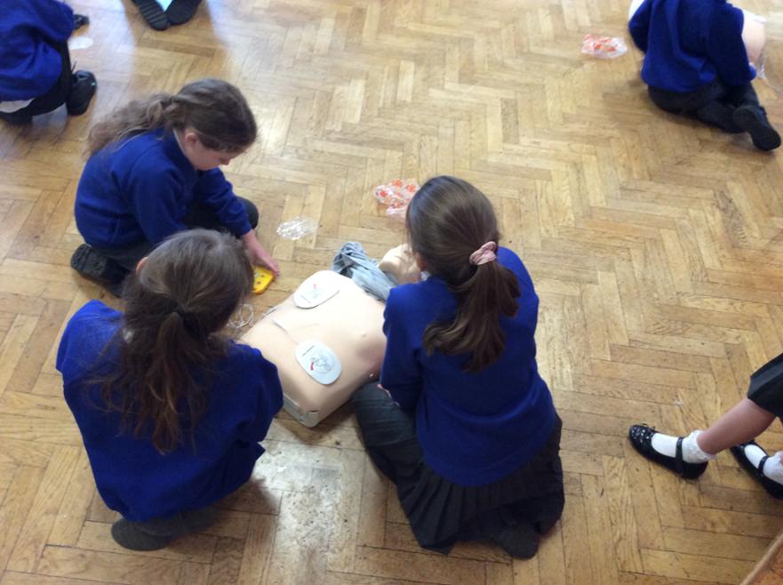 Y6 first aid